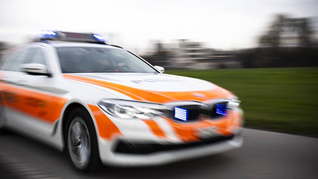 Die St. Galler Kantonspolizei rückte am Mittwochmorgen wegen einer Schiesserei in Diepoldsau aus. (Archivbild)