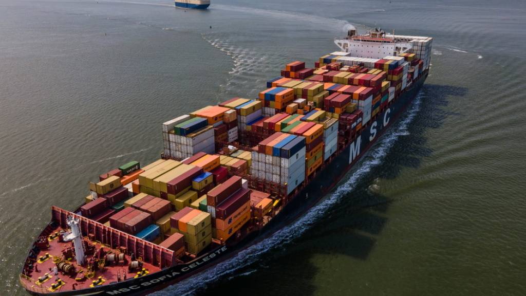 Das Container-Schiff «MSC Sofia Celeste» auf dem Weg nach Antwerpen in Holland. (Archivbild)