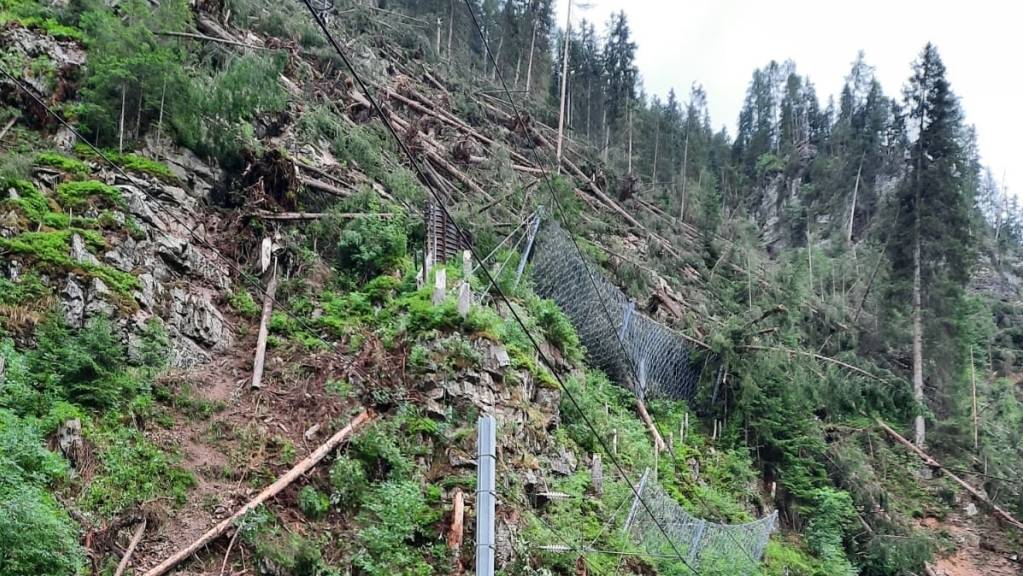 Die im Sturm umgestürzten Bäume liegen unter Spannung in aufgelockertem Fels in einem Steilhang.