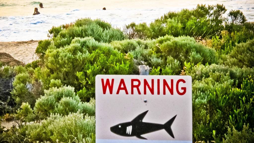 ARCHIV - Ein Schild mit der Aufschrift «Warning shark sighting» (dt. Achtung Hai gesichtet) ist in der Nähe von Prevelly Beach aufgestellt. Foto: Rebecca Le May/AAP/dpa