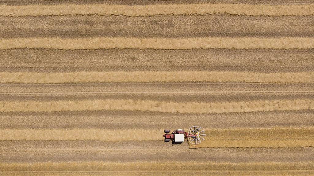 Dürre: Bauern beim Bewässern am Anschlag