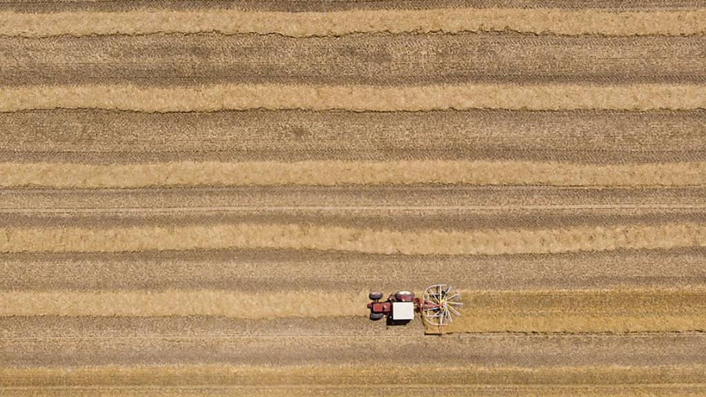 Dürre: Bauern beim Bewässern am Anschlag