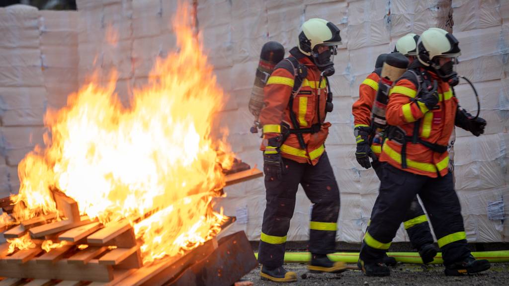 Feuerwehrstatistik: Viele Tiere gerettet und nur ein Grossbrand im letzten Jahr