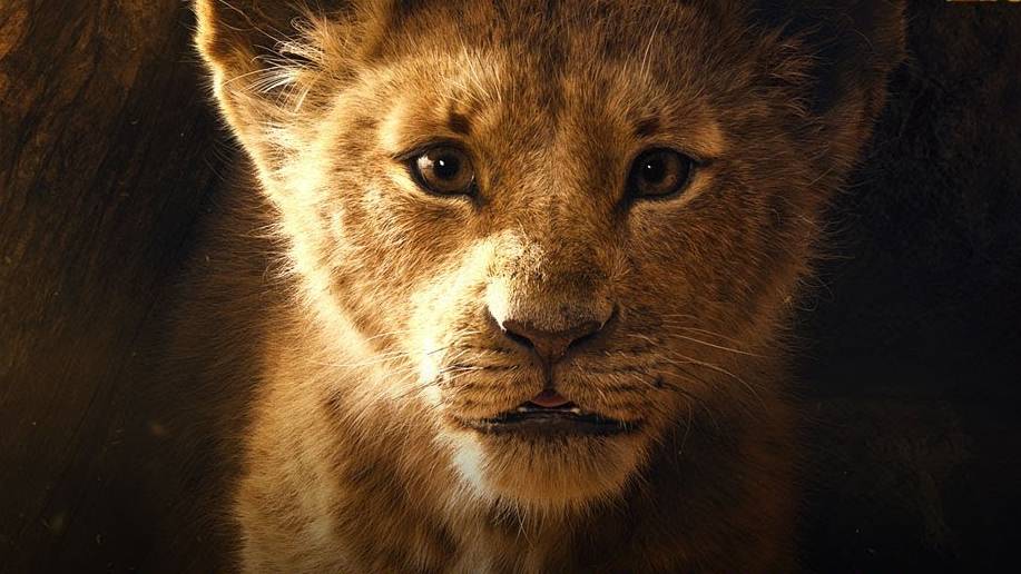 So süss ist Simba in der Neuverfilmung von «Der König der Löwen» 