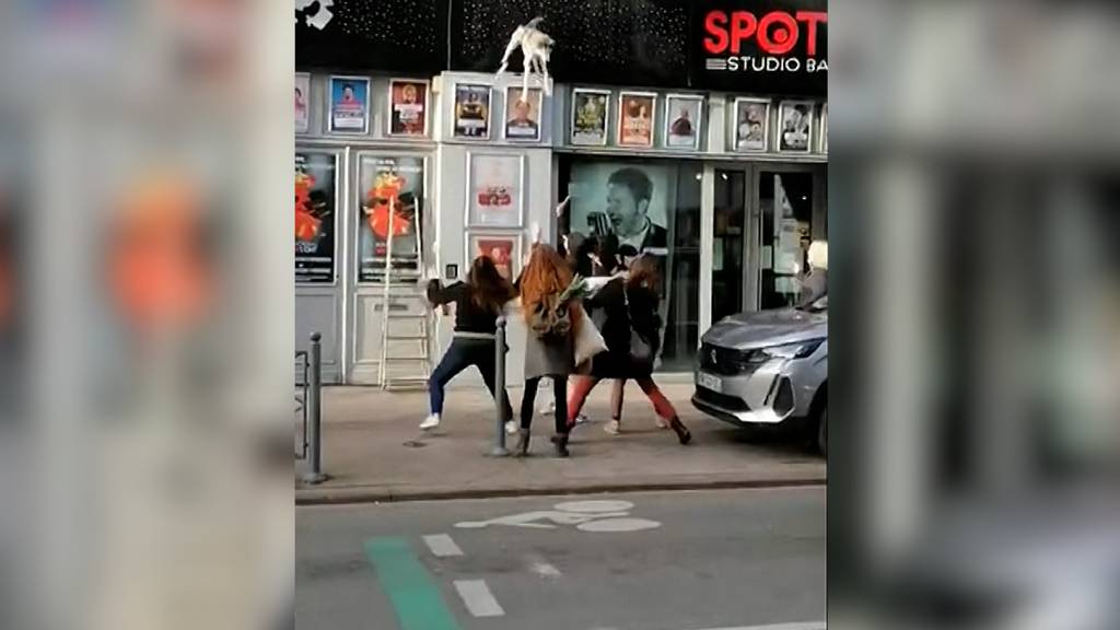 Schockmoment in Lille: Husky stürzt aus Fenster in zweitem Stock