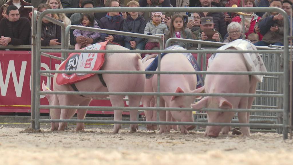 Nach elf Tagen Ausnahmezustand: Die Olma verabschiedet sich mit guter Bilanz