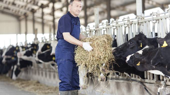 «Warum werden die Bauern unterstützt?!»