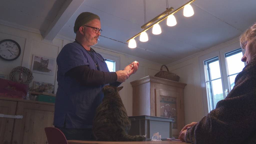 Bundesgerichtsurteil: Tierärzte bleiben auf Behandlungskosten sitzen