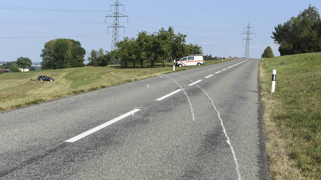 Der Lenker des Unfallfahrzeugs verstarb im Spital.