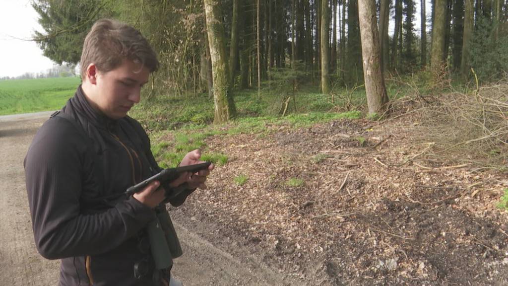 2'000 Freiwillige im Dienste der Vogelwarte