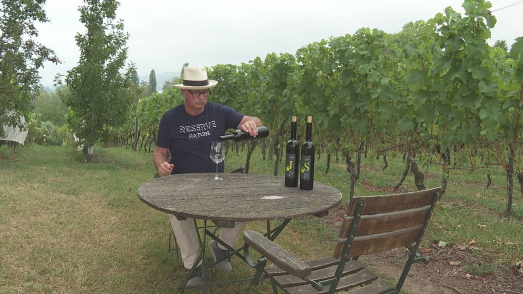 Zentralschweizer Weinbauern erwarten guten Jahrgang