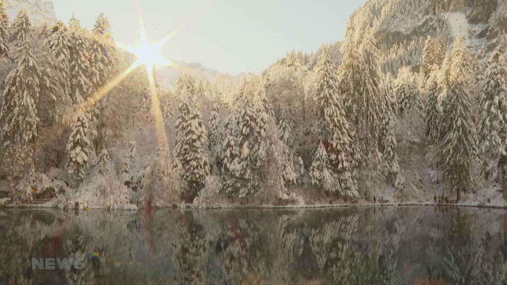 Über 500 Menschen schwimmen bei Minustemperaturen im Blausee