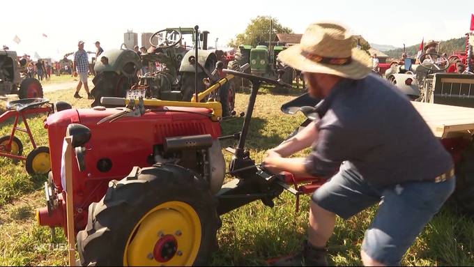 Oldtimer-Traktoren begeistern Jung und Alt