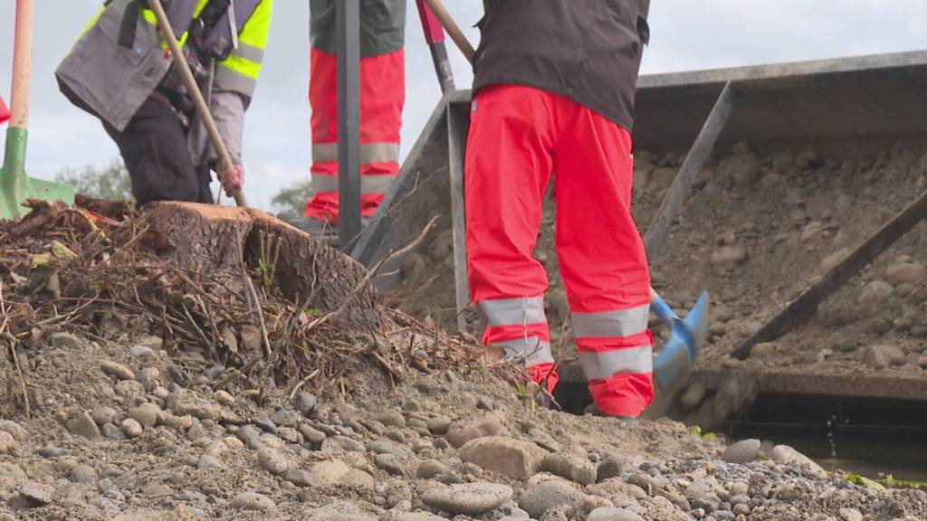 Biberschutz: Insel im Inkwilersee wird mit Netzen gesichert