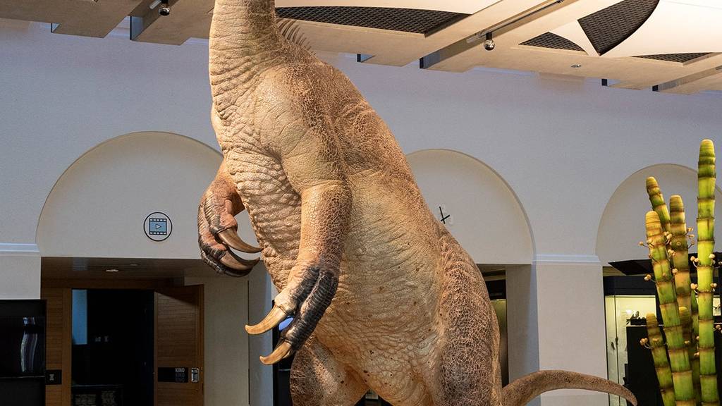 Vier Meter ragt der Plateosaurier in die Luft.