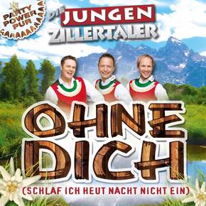 Ohne dich (schlaf ich heut Nacht nicht ein)