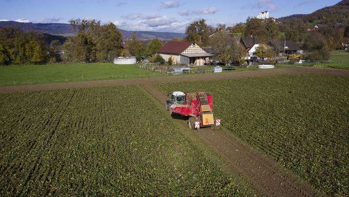 Landwirte sind bei Familienzulage besser gestellt