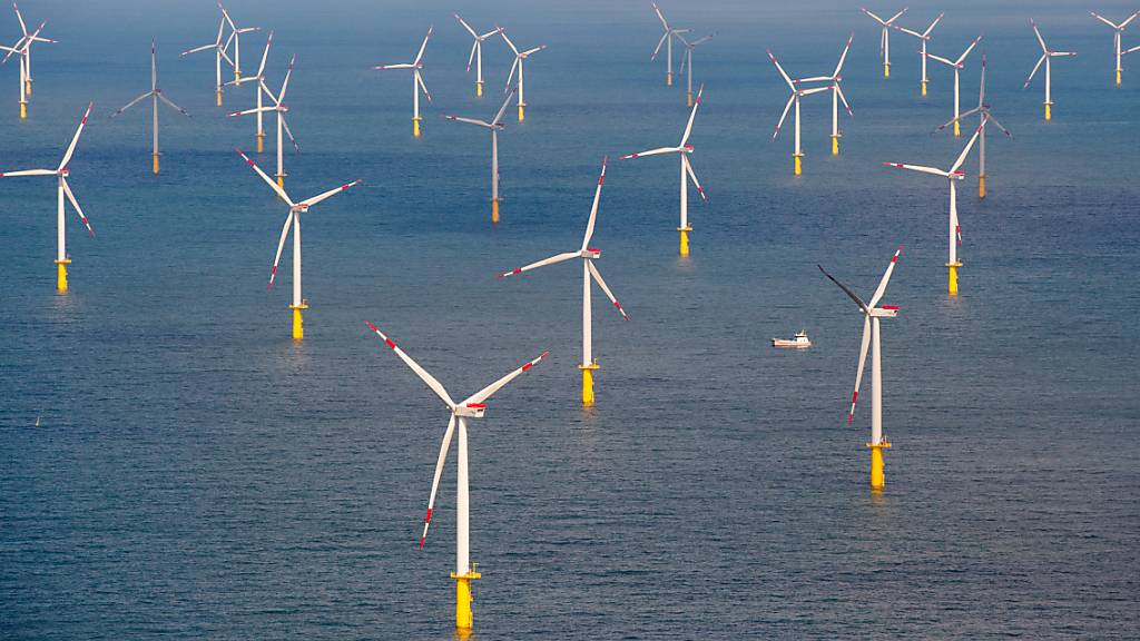 BASF und RWE planen 2-Gigawatt-Windpark in der Nordsee 