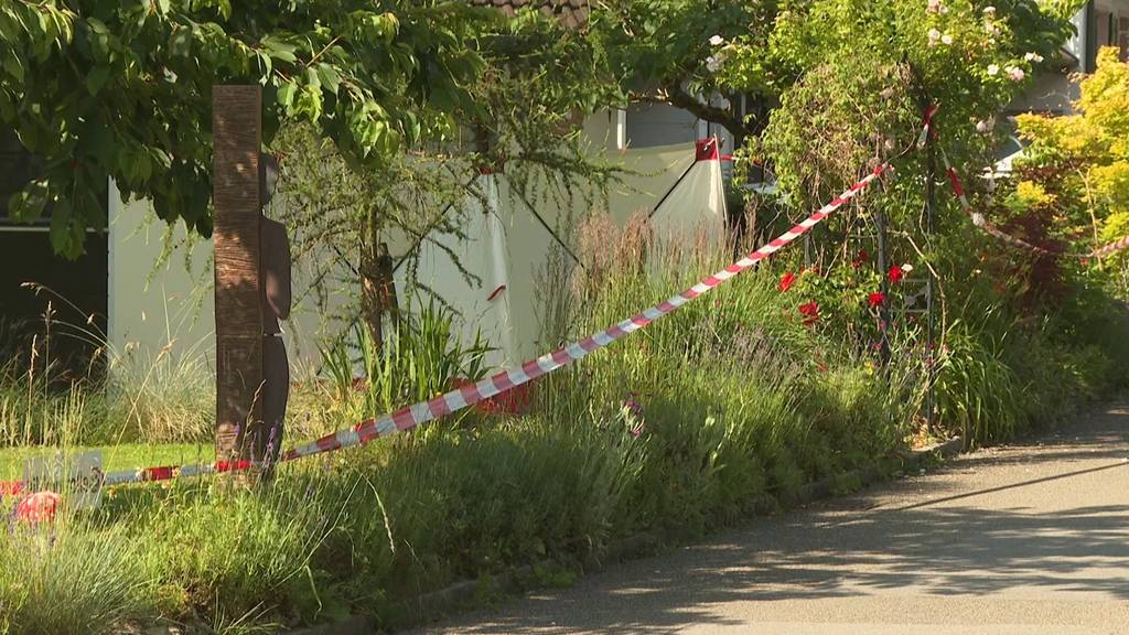 Drei Personen tot in Hägendorf und Egerkingen aufgefunden – Mann (41) stellt sich der Polizei