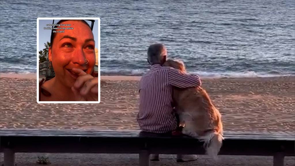 Ein Mann und sein Hund geniessen den Sonnenuntergang – und bringen das Netz zum Weinen