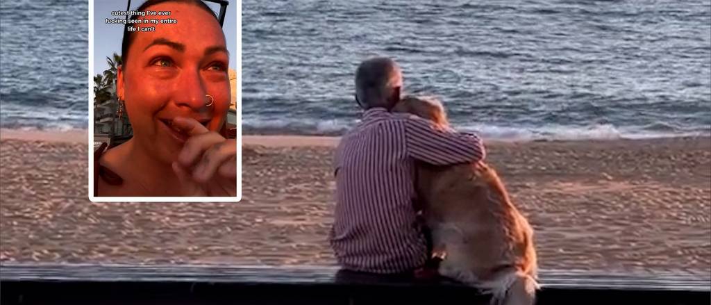 Ein Mann und sein Hund geniessen den Sonnenuntergang – und bringen das Netz zum Weinen