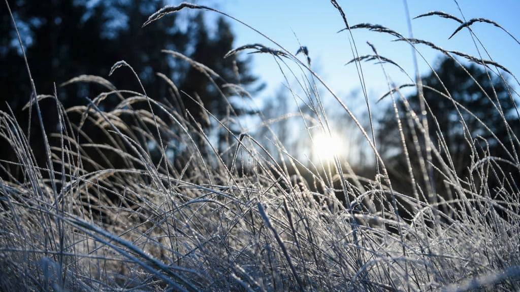 Wetterdienste erwarten im Flachland in den kommenden Tagen Maximaltemperaturen von null Grad. (Archivbild)