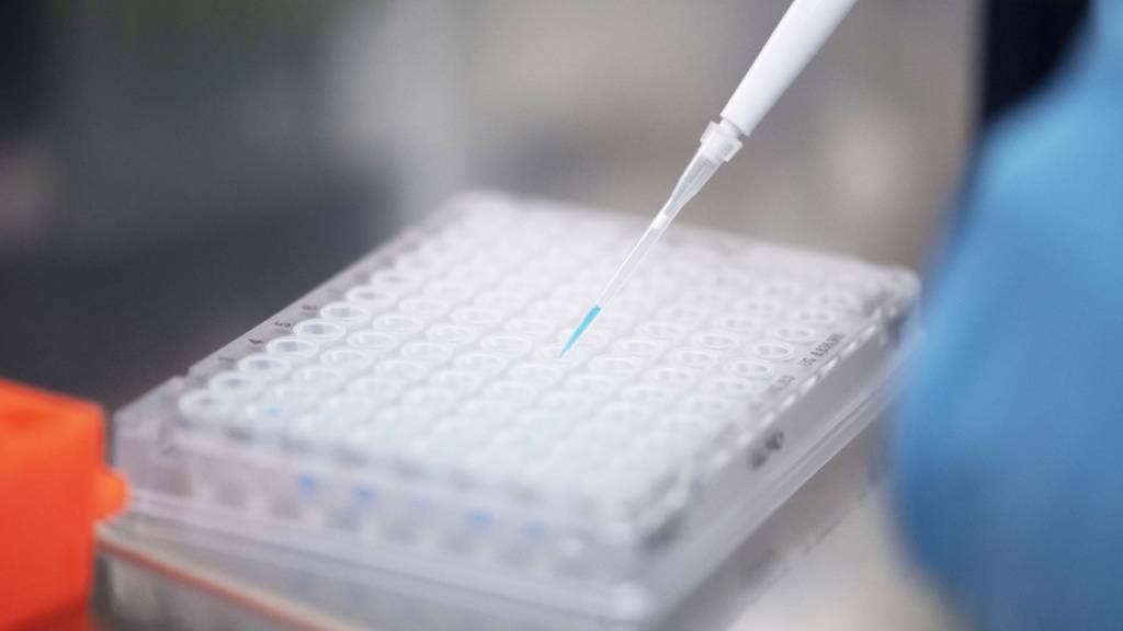 Rund 200 Forscherinnen und Forscher haben im Rahmen des Nationalen Forschungsprogramms «Covid-19» verschiedene Aspekte des Coronavirus erforscht. (Archivbild)