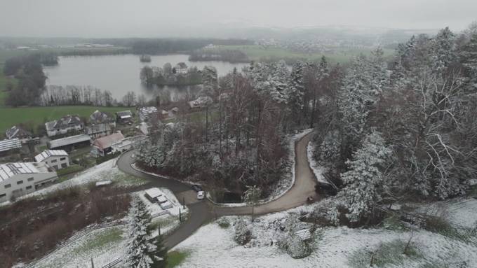 Vorschau Sendung «Typisch Michelle»