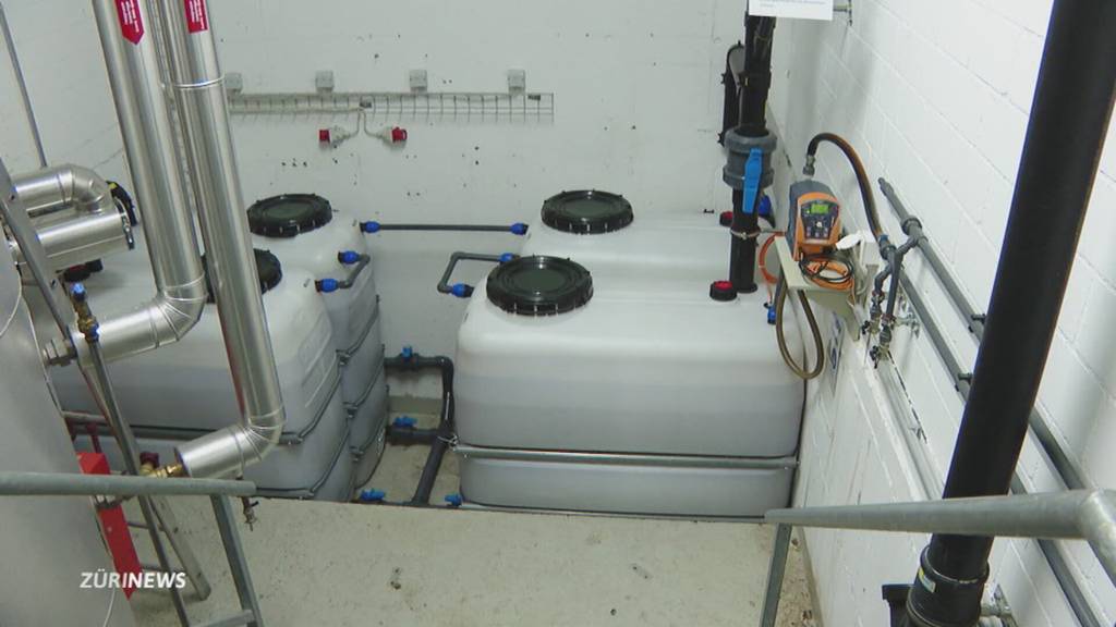 Vom WC auf den Rasen: Aus Urin wird Dünger