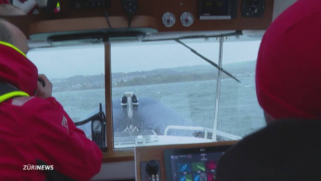 Wind und Wellen: Seeretter auf Zürichsee in Alarmbereitschaft