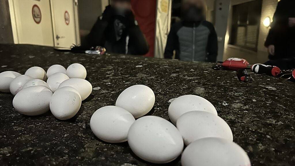 Beschlagnahmte Eier während der Halloween-Nacht.