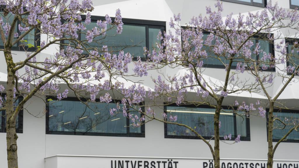 Die geplante Forschung zum Nationalen Finanzausgleich soll am der Universität Luzern angegliederten Institut für Schweizer Wirtschaftspolitik (IWP) stattfinden. (Archivaufnahme)