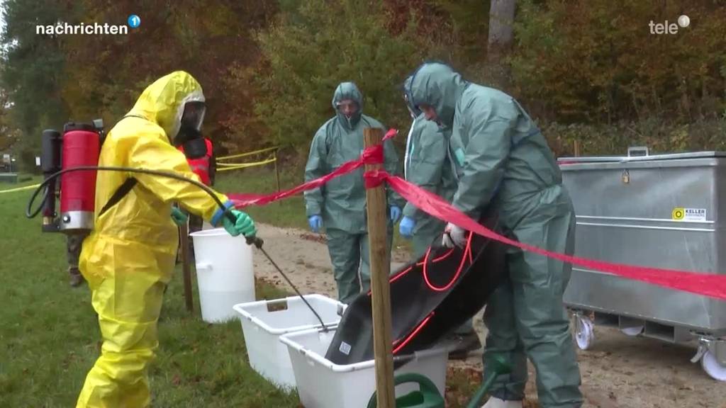 Nationale Übung gegen die Afrikanische Schweinepest