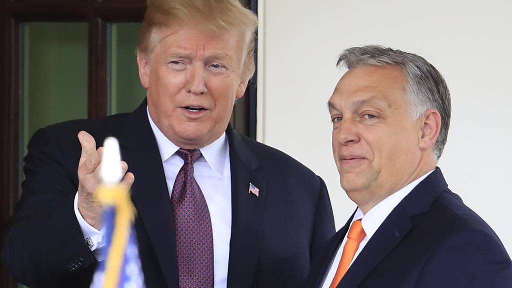 ARCHIV - Donald Trump (l), damaliger Präsident der USA, begrüßt Viktor Orban, Ministerpräsident von Ungarn, im Januar 2022 am Weißen Haus. Foto: Manuel Balce Ceneta/AP/dpa