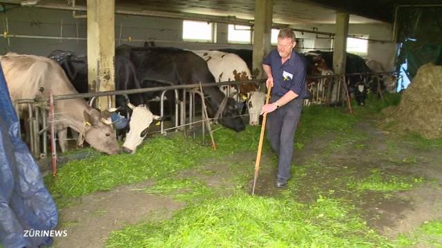 Wegen Kleinigkeiten vor Gericht?