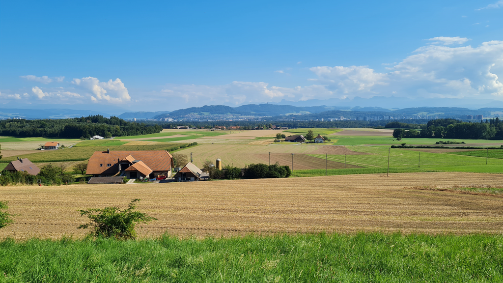 Die Weilerlandschaft am Frienisbergplateau stelle ein wertvolles landschaftliches Ensemble dar, schreibt die Stiftung Landschaftsschutz Schweiz.