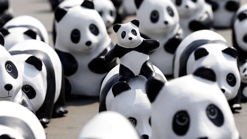 Einige der 1600 Papp-Pandas des Künstlers Paulo Grangeon, die am Freitag vor dem Grossen Palast in Bangkok aufgestellt worden sind.