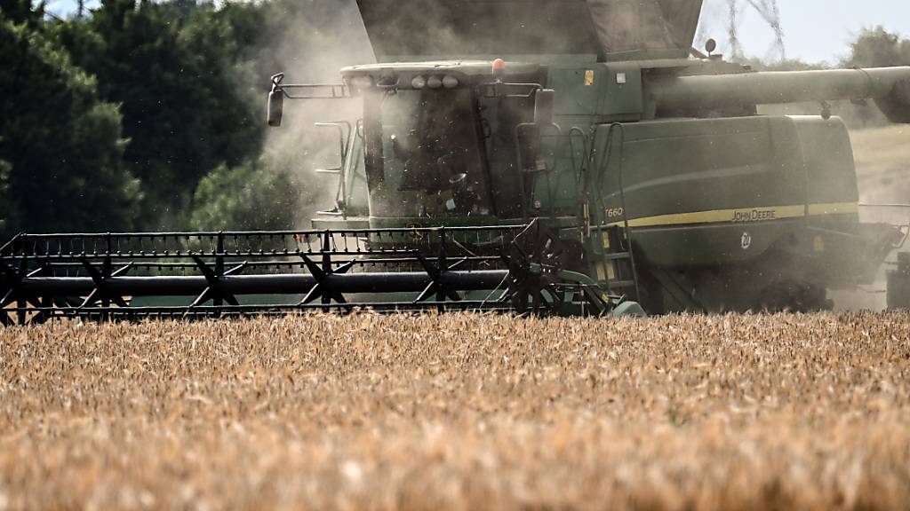 Der Klimawandel erhöht Risiko für gleichzeitige regionale Ernteausfälle, wie Forschende herausfanden. (Symbolbild)
