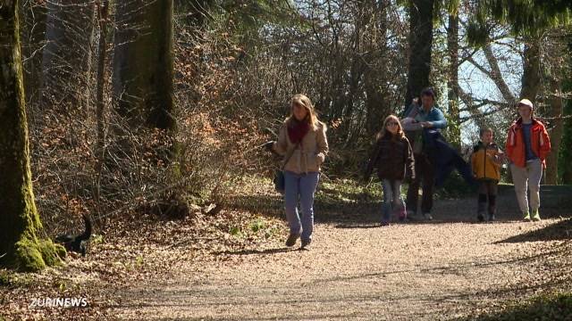 Gleich zwei Rega-Einsätze am Uetliberg