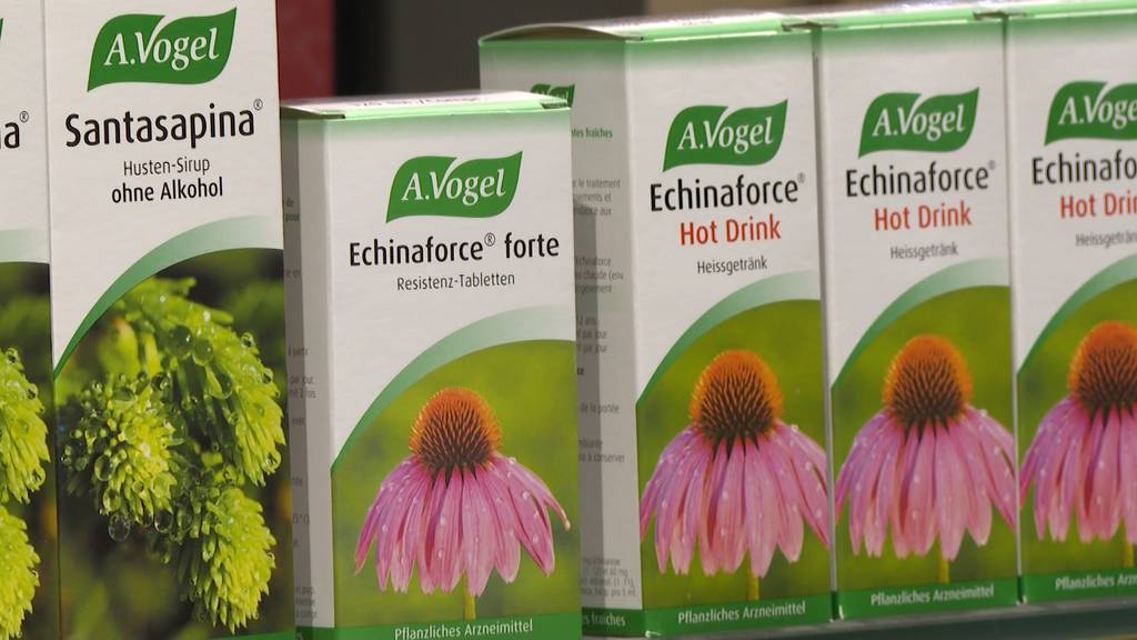 Echinaforce: Pflanzliches Arzneimittel als Wundermittel gegen Corona?