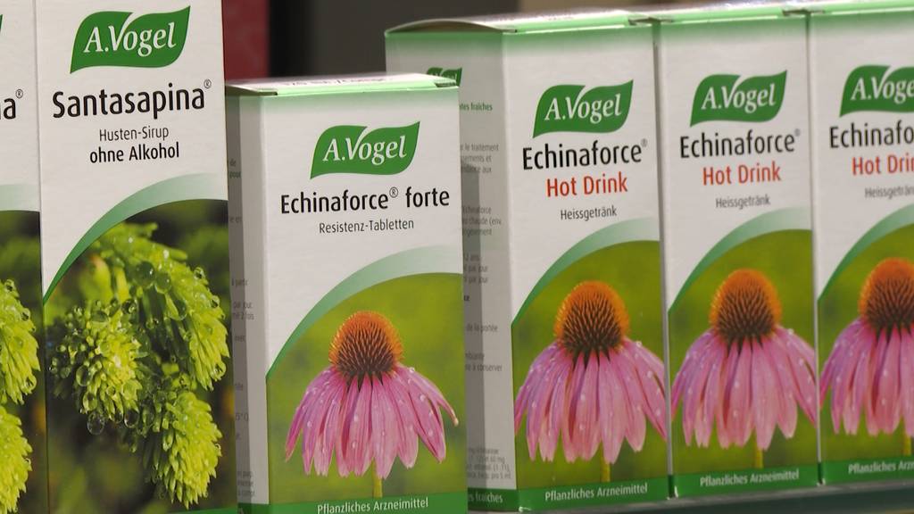 Echinaforce: Pflanzliches Arzneimittel als Wundermittel gegen Corona?