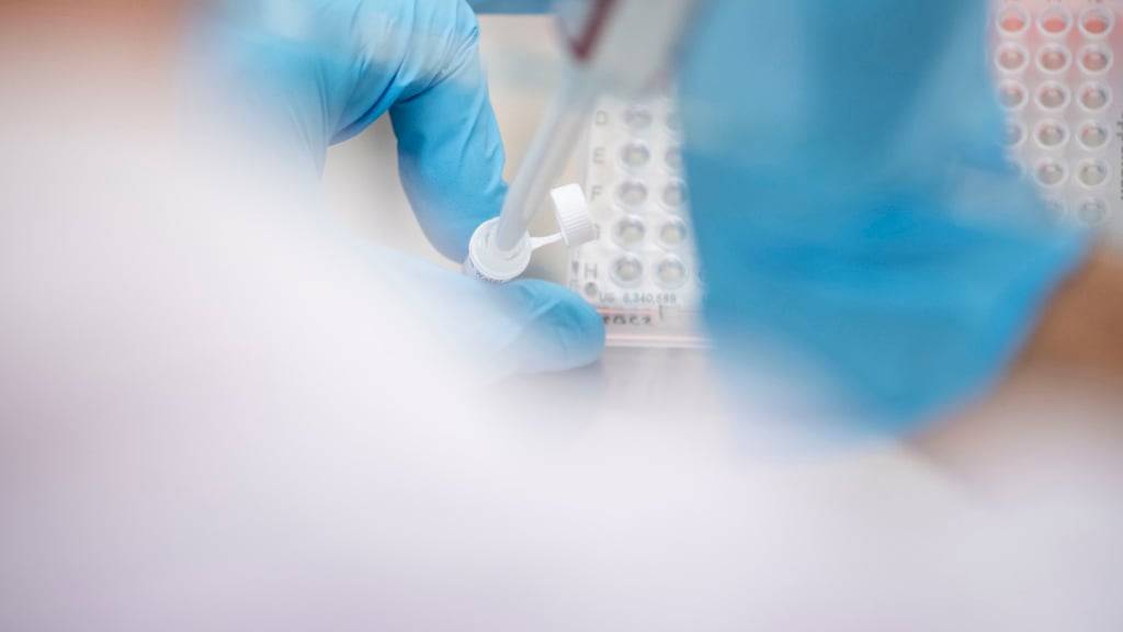 KI soll kombiniert mit  der Genschere Crispr-Cas9 präzise Genveränderung ermöglichen. (Symbolbild)