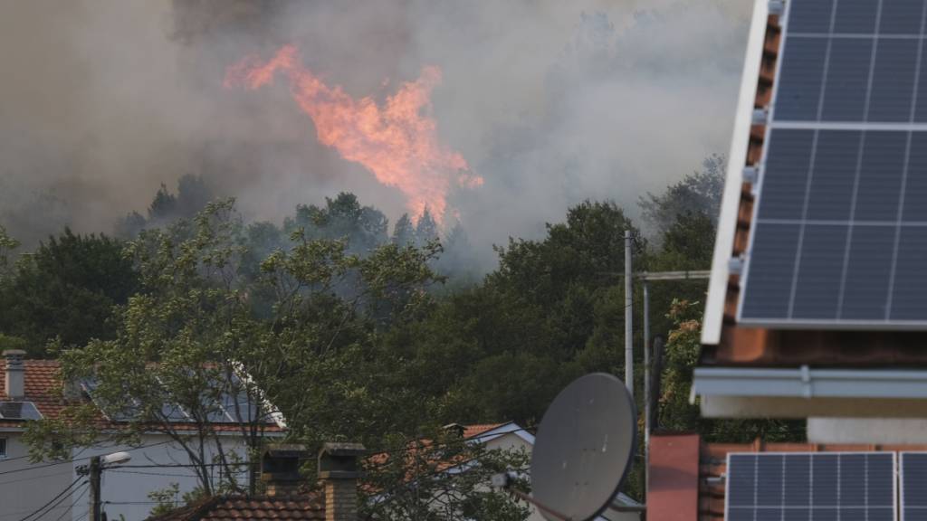 Rauch und Flammen steigen von Bäumen auf. Foto: Risto Bozovic/AP/dpa