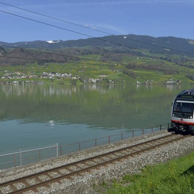 Keine Züge über den Brünig: Strecke Giswil – Meiringen ist unterbrochen