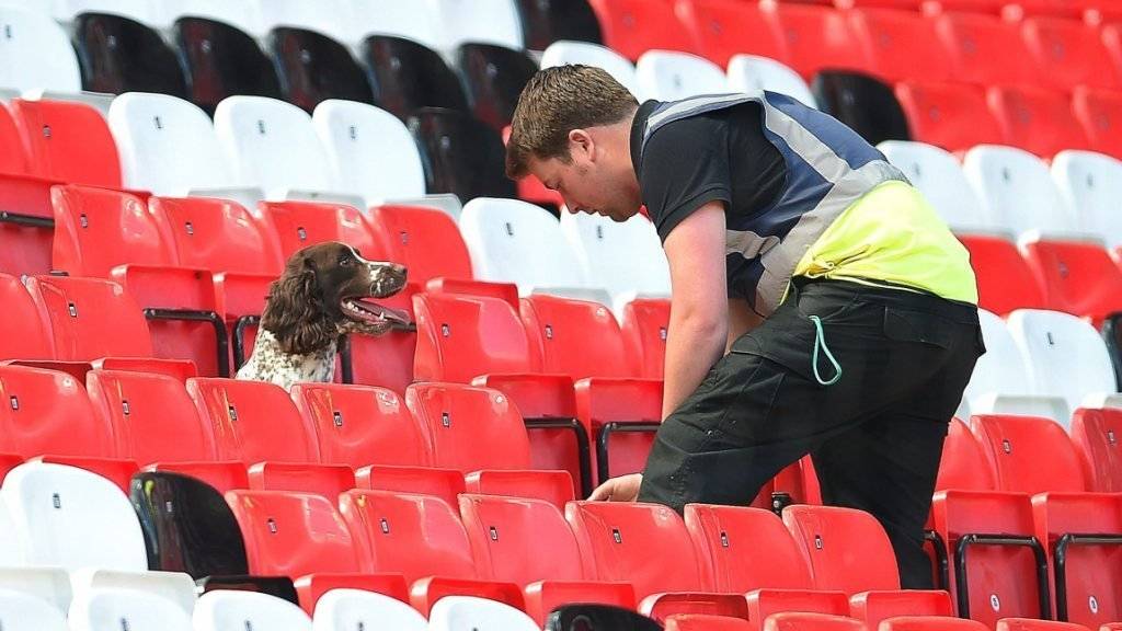 Fehlalarm: Ein Spürhund sucht das Old Trafford nach dem Fund einer Bomben-Attrappe ab