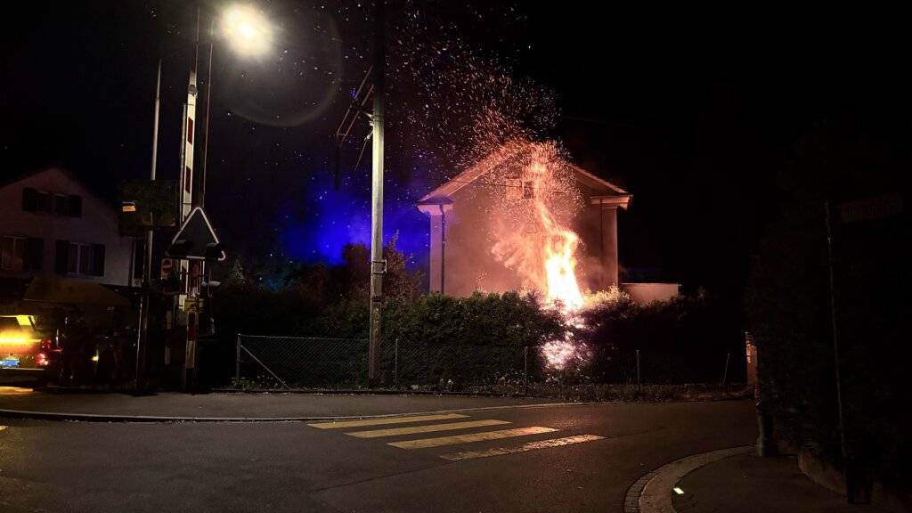 Nahe der Bahngleise in Winterthur explodierte am Montag ein Elektroroller und setzte eine Hecke in Brand.