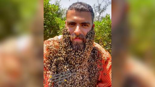 Libanesischer Mann trägt Bart aus Hunderten von Bienen