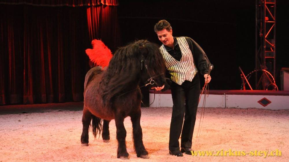© Fotos by Marcel Hutzli 2015,  www.zirkus-stey.ch