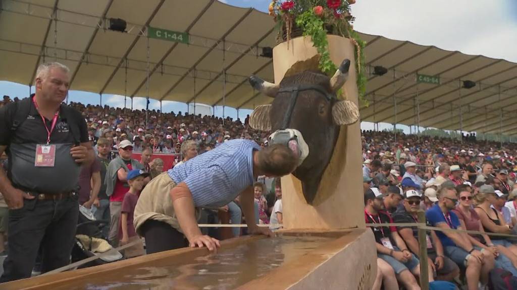Spannung pur: So lief das ISAF in Dagmersellen