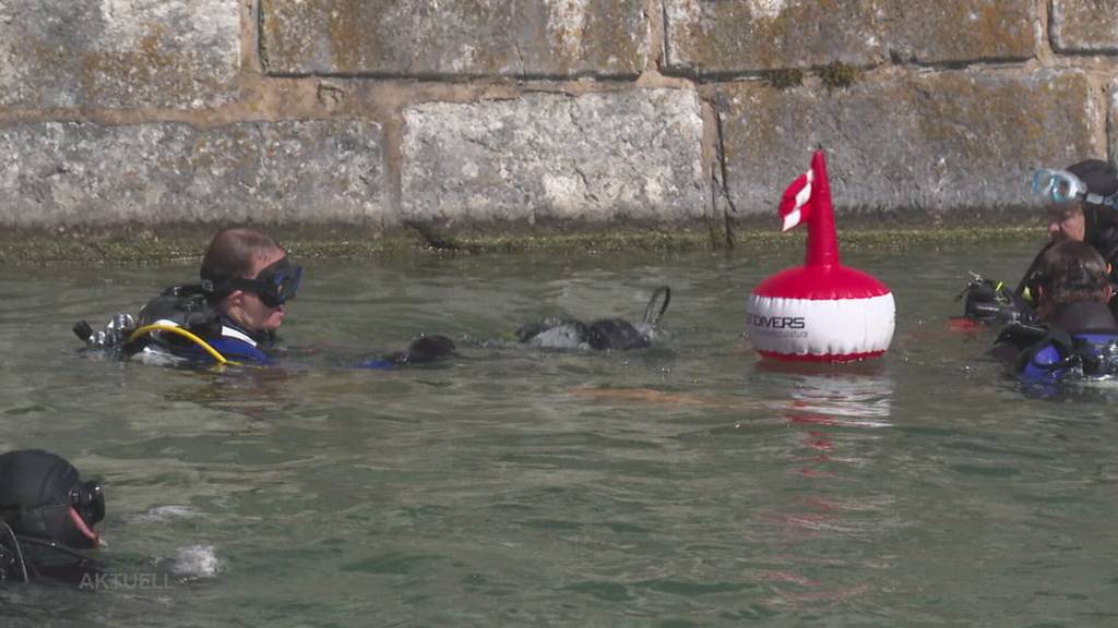 Unsichtbare Müllhalde: Was Abfalltaucher in Solothurn so alles aus der Aare holen